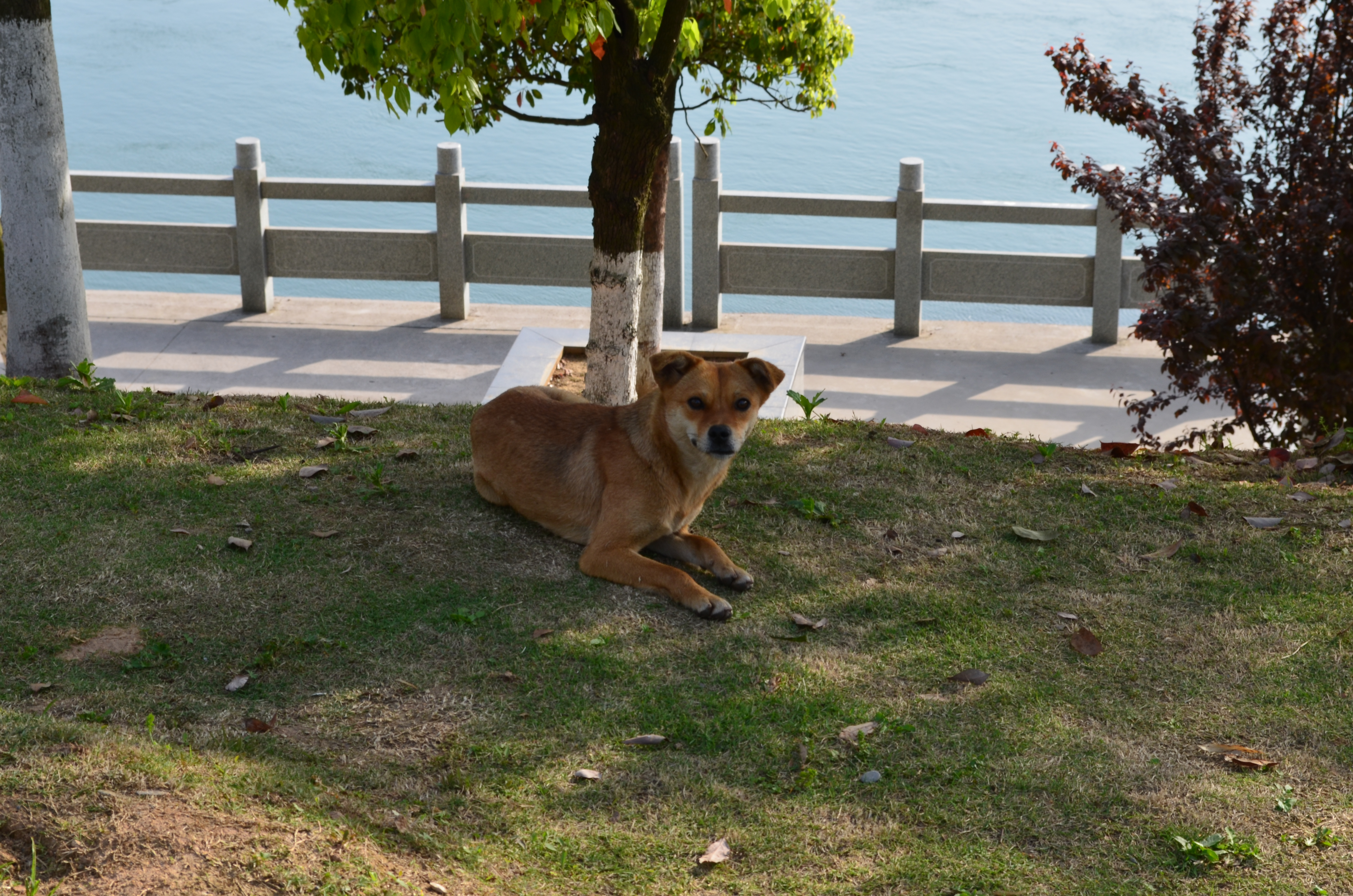 ./2018/03 - Viking China/18 - YiChang/DSC_0923.JPG